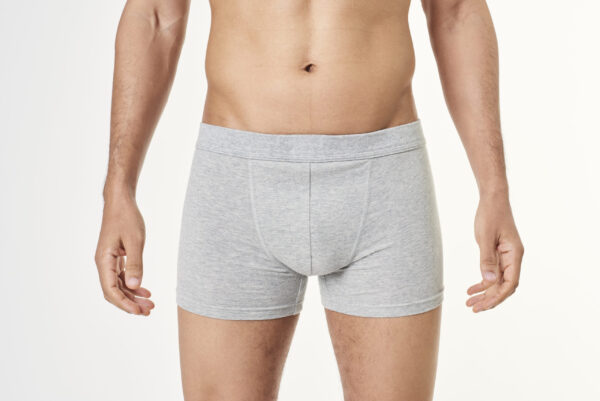 Boxer